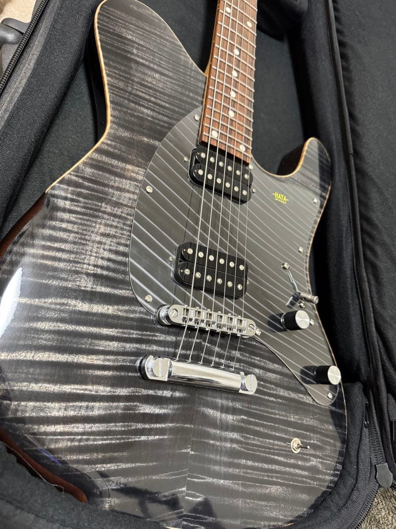 ギター dragonfly border 666 custom