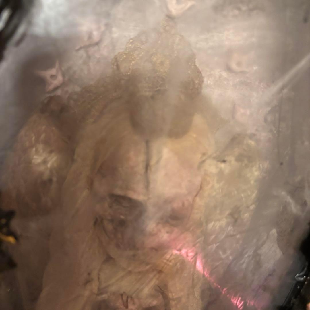 【Special Price】 熾天使棺皇女オブジェ