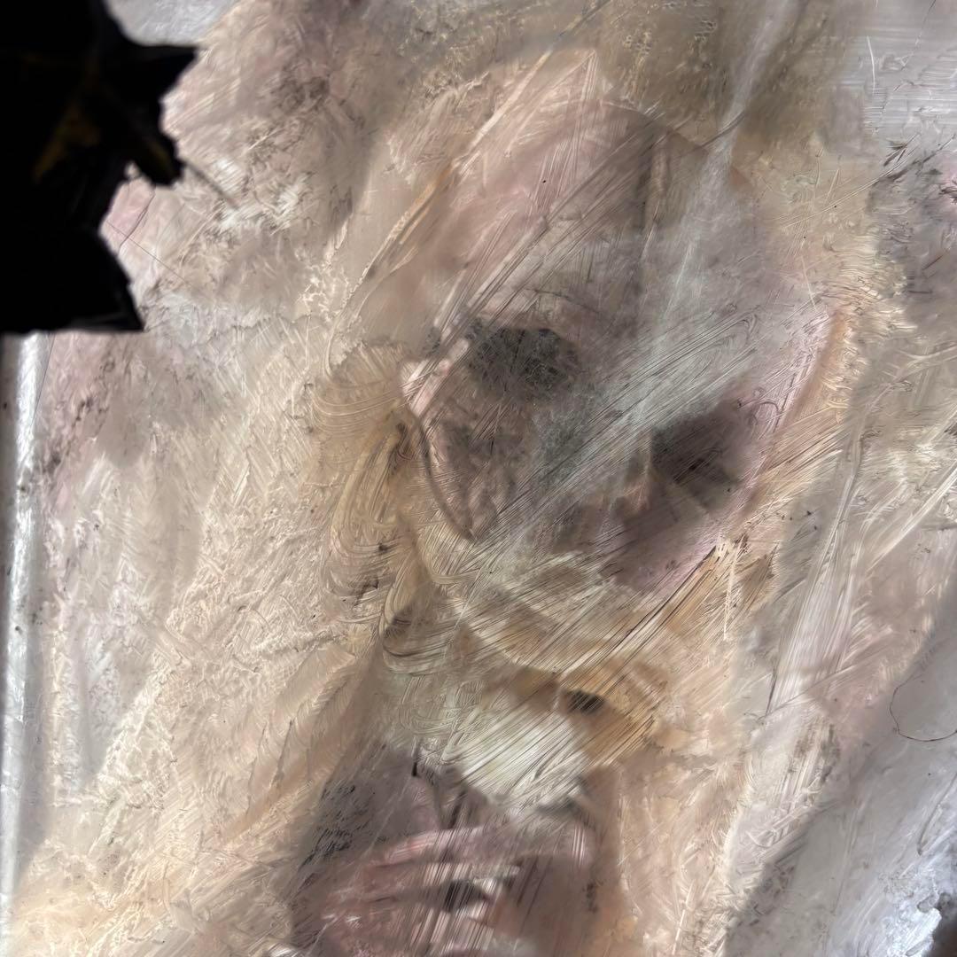 【Special Price】 熾天使棺皇女オブジェ