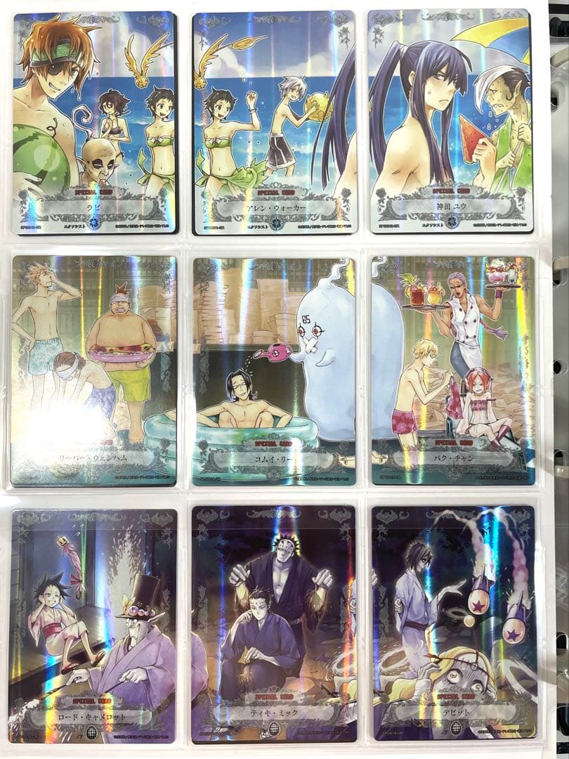 D.Gray-man ディーグレイマン TCG セミコンプリート ファイリング済