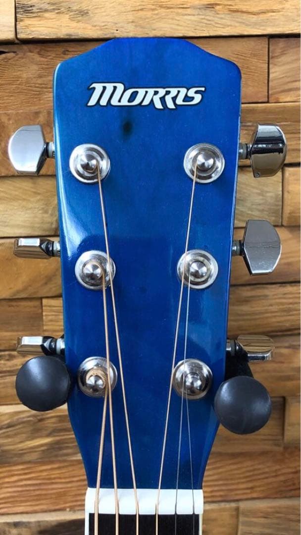 Morris R-401 SBU エレアコ ブルー アコースティック　モーリス