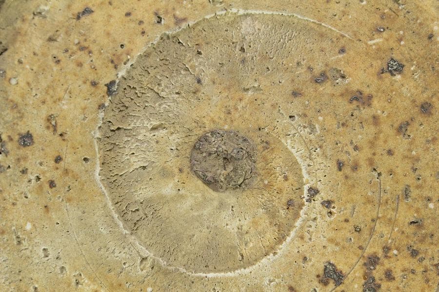 中国美術 纏枝蓮花貼 装飾 壷 高32cm(ZE729)