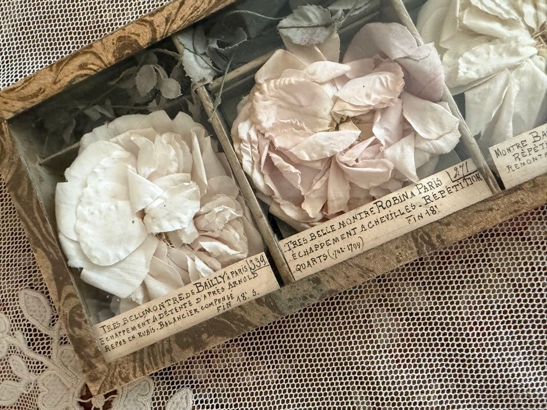 期間限定出品激レアフランスアンティーク布花サンプルガラスケース入り