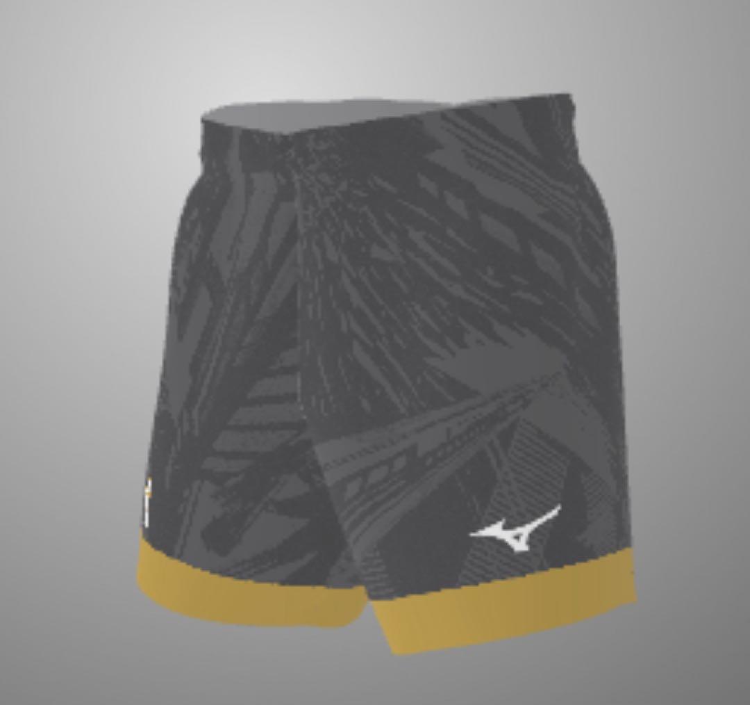 MIZUNO バレーボール オーダーゲームパンツ⑤