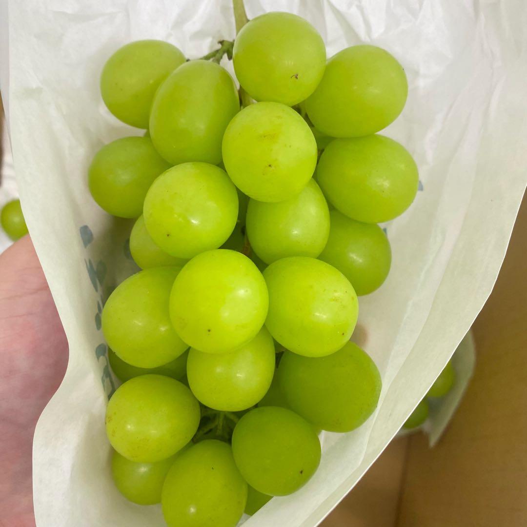 山梨県産　訳あり　家庭用　シャインマスカット　14房　箱込み5.5kg ⑬