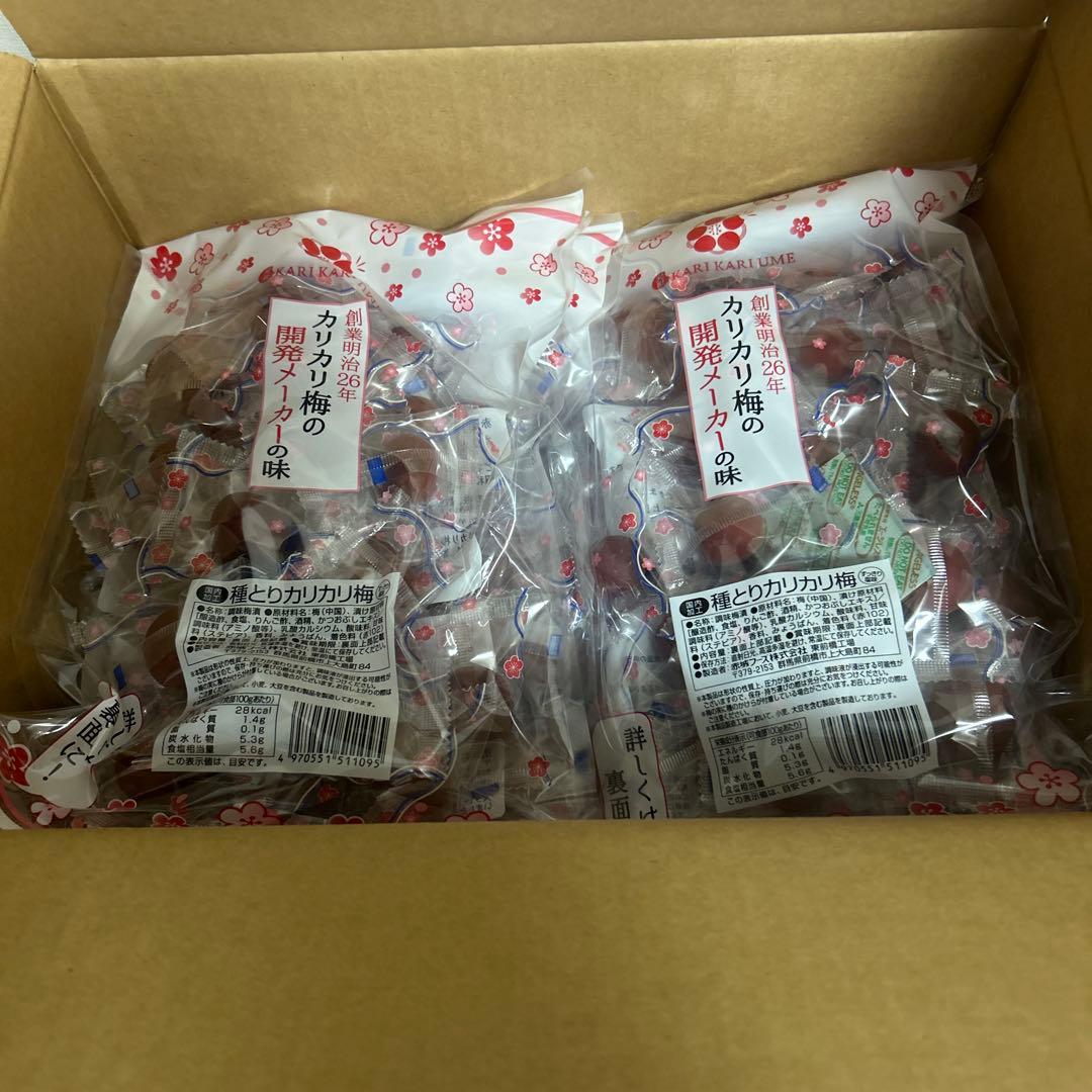 赤城フーズ 種とりカリカリ梅業務用 210g×8袋　熱中症対策