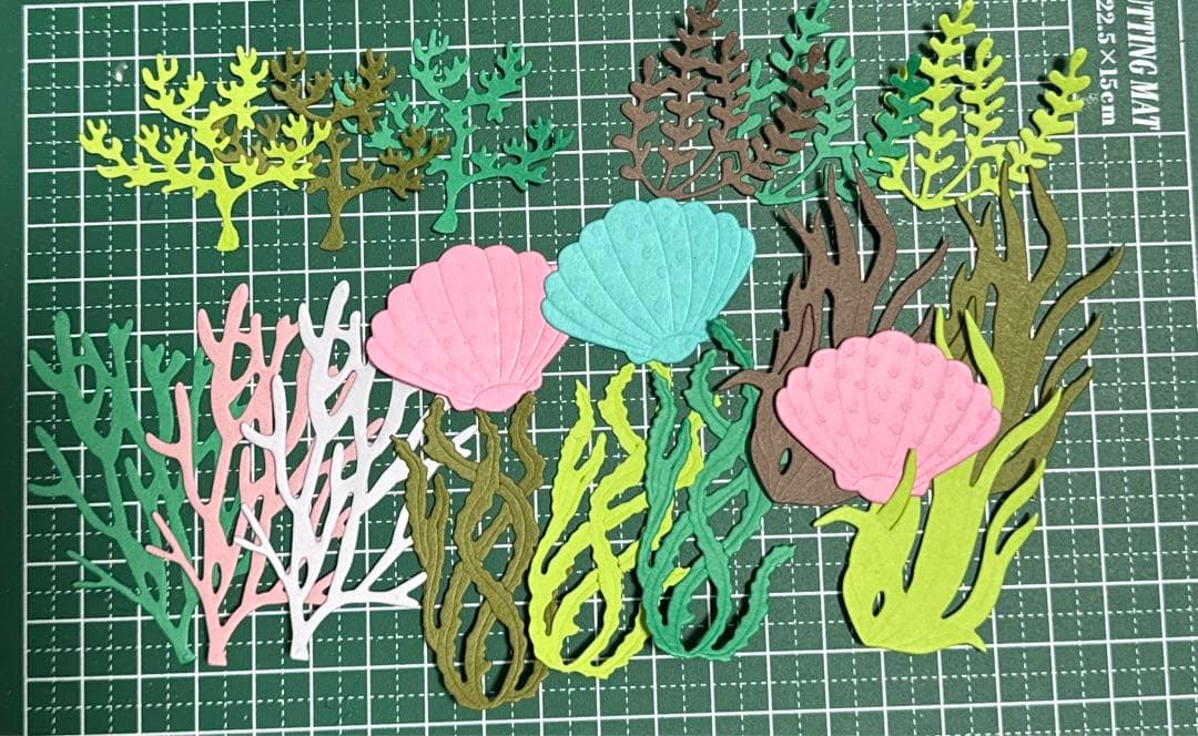 海藻   貝    アルバム  写真素材  ダイカット  クラフトパンチ