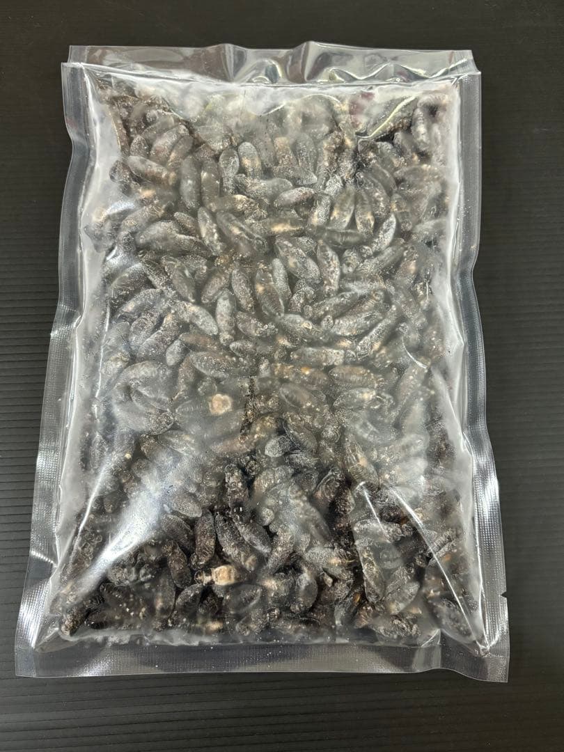 清潔コオロギ　2kg 2.0〜2.5cm多め　冷凍コオロギ