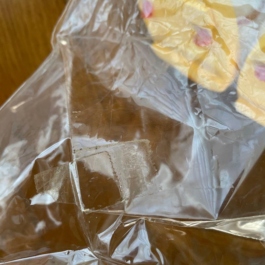 ご当地　キティちゃん　ぬいぐるみ　伊豆限定　1点