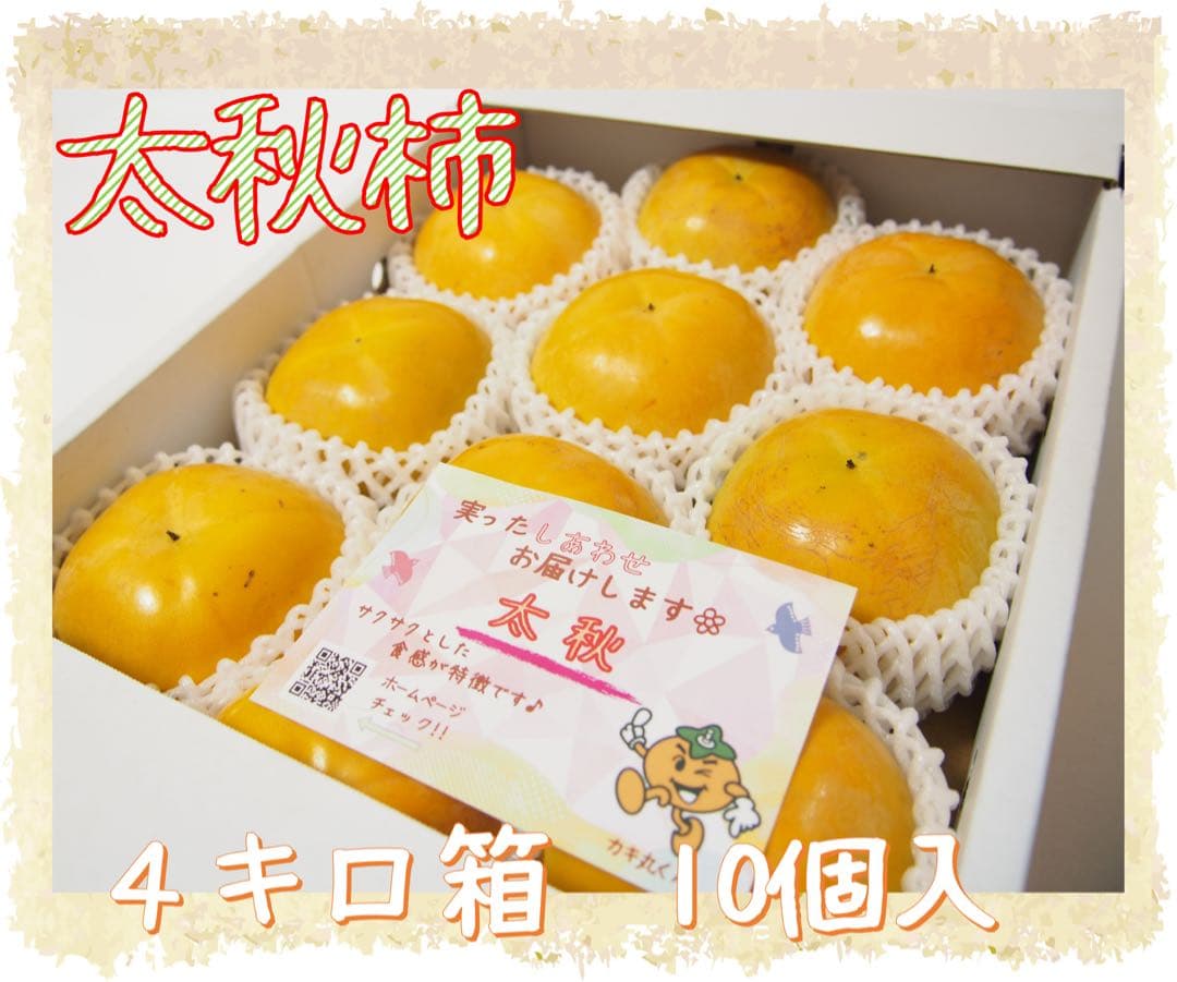 《リリー》【太秋柿】４キロ箱　10個入　２箱福岡県産