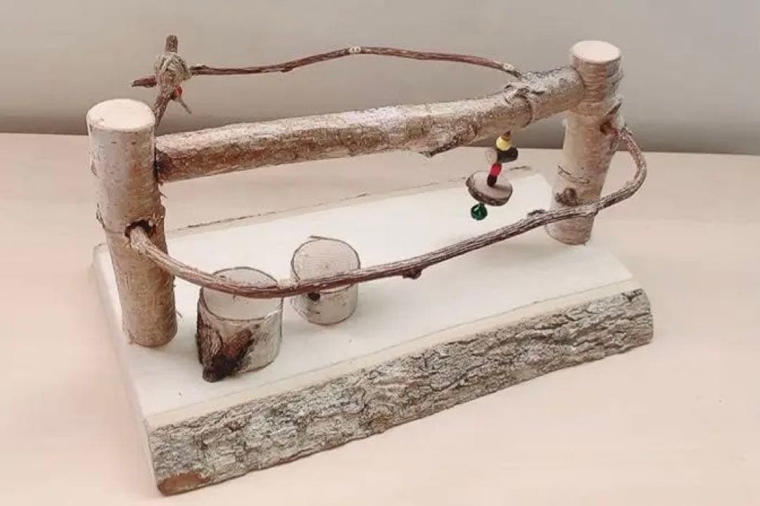 絵になる〜♪スタンド　キウイのツル