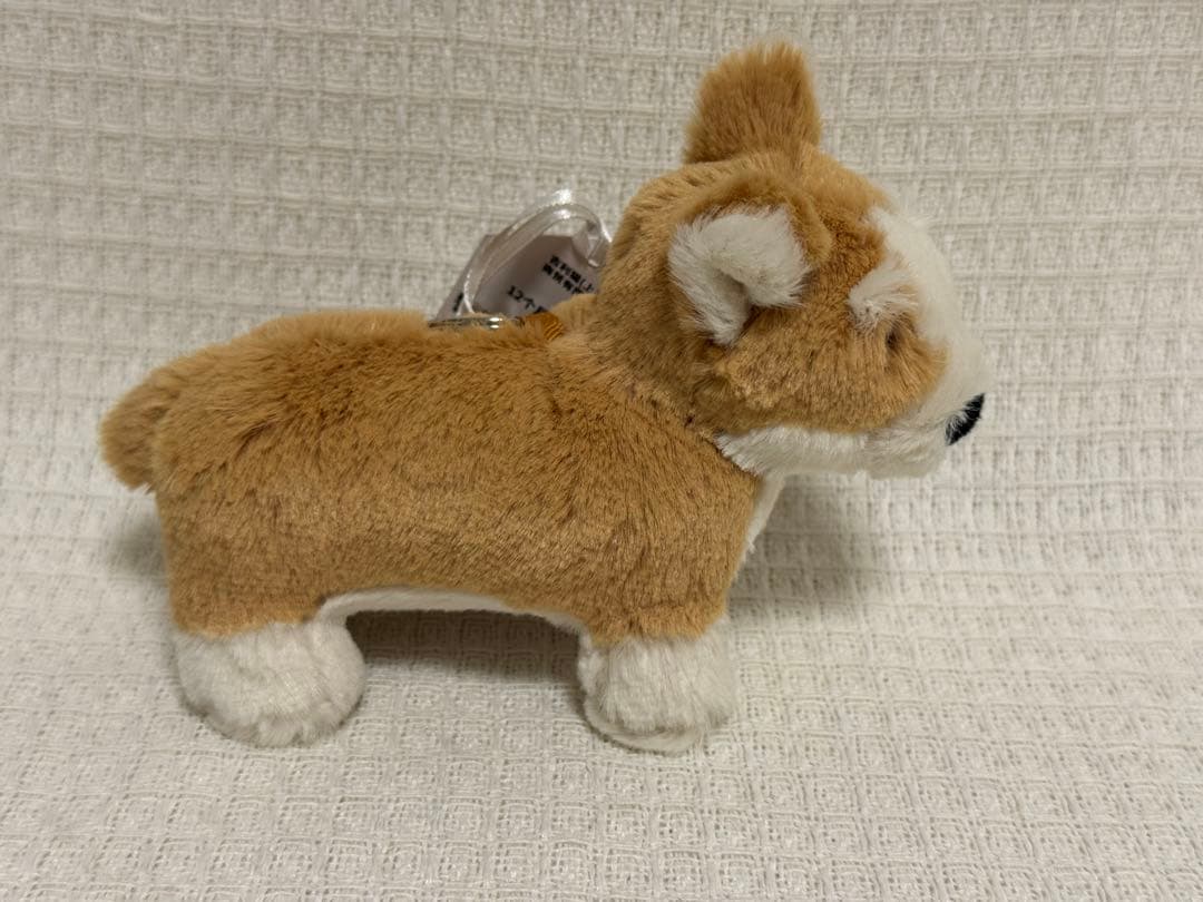 ジェリーキャット ベティ コーギー バッグチャーム キーホルダー