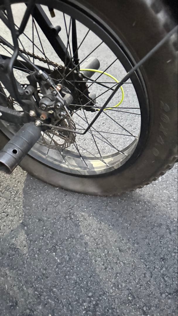 fry fish電動自転車