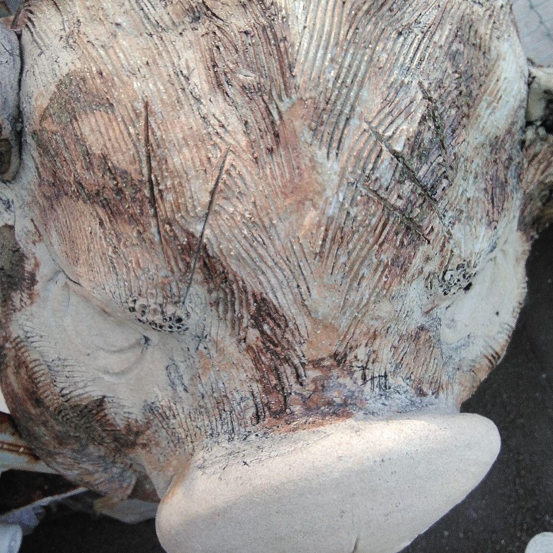 信楽焼の豚の看板。