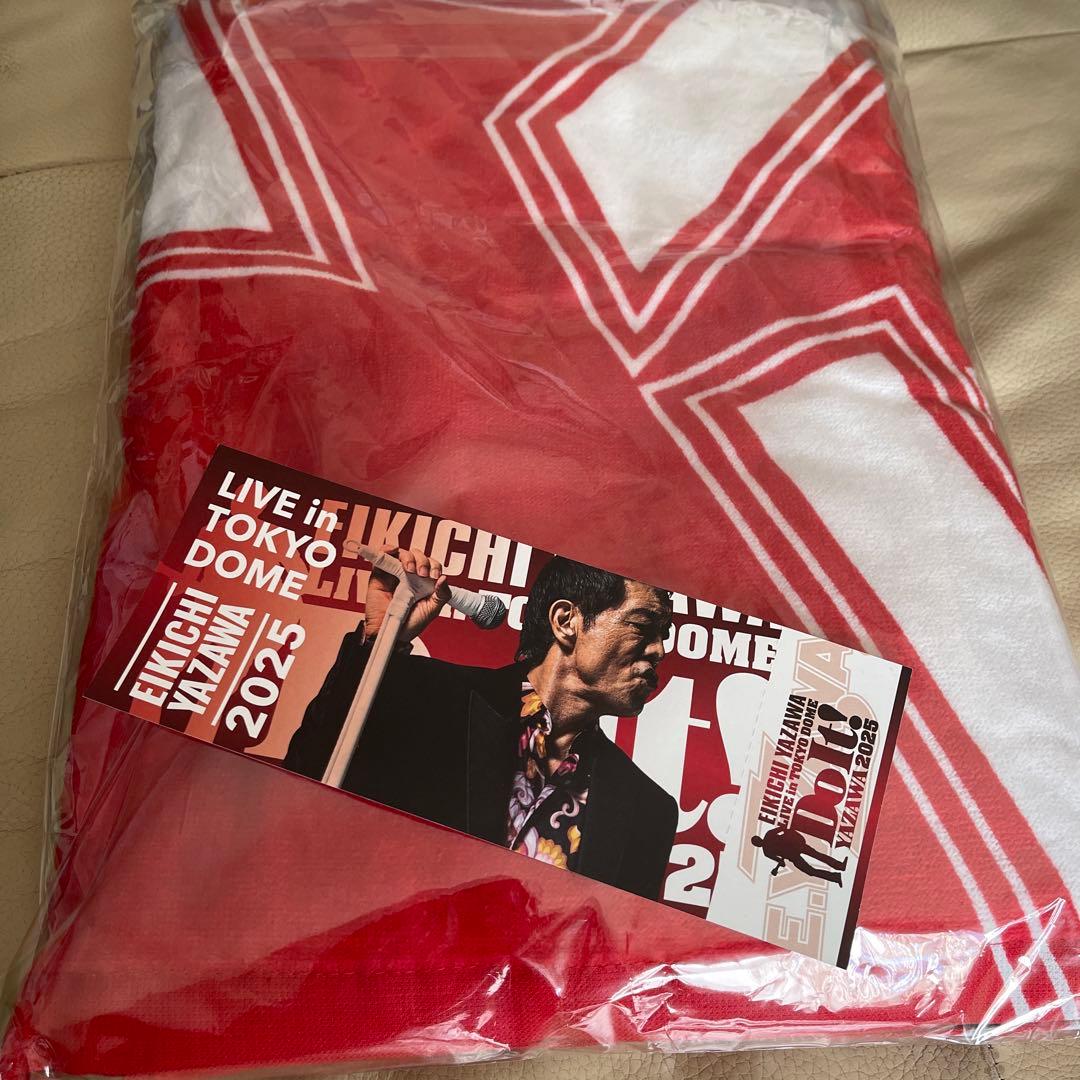 YAZAWA 2025 タオル その他