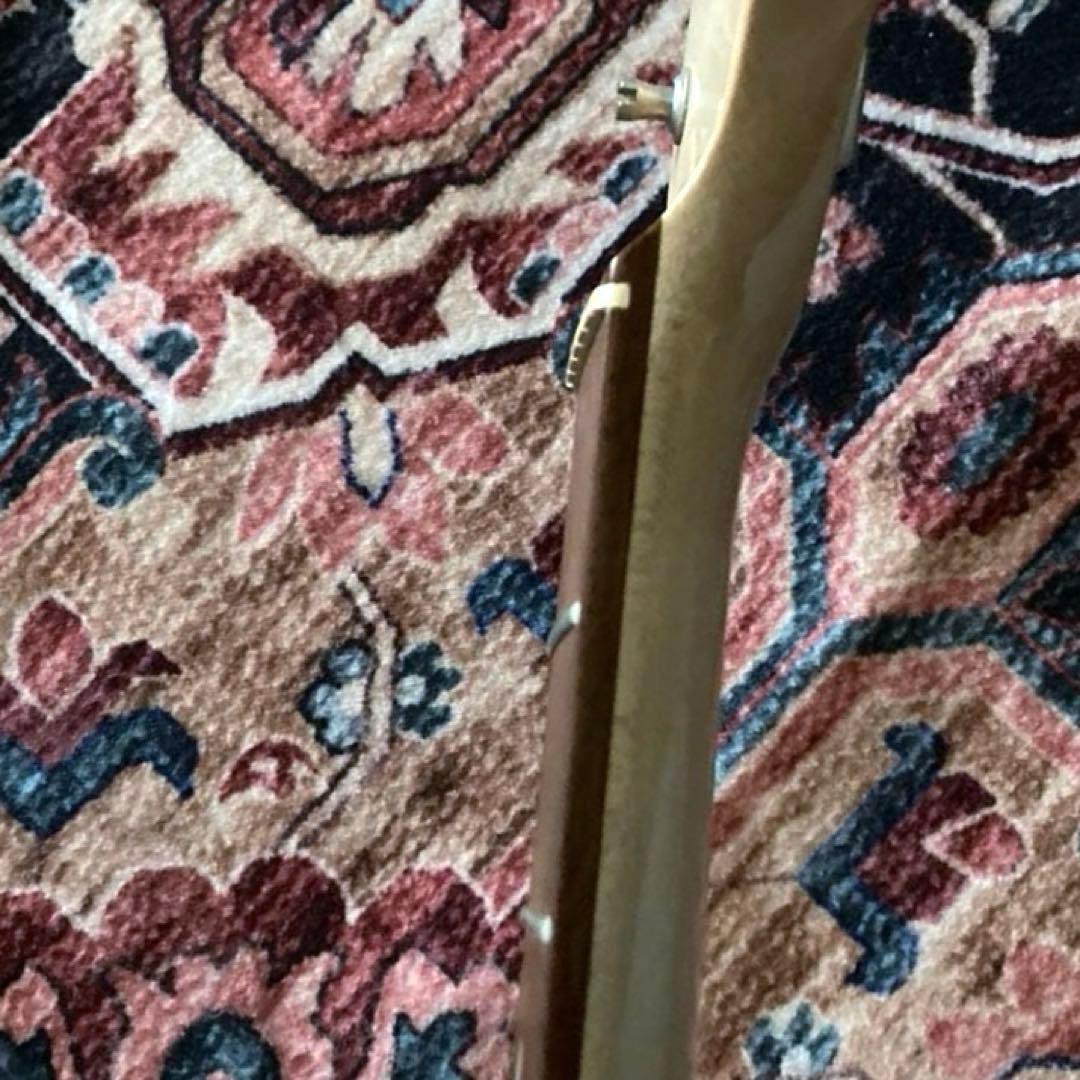 Fernandes エレキギター 純正ギグバッグ付き