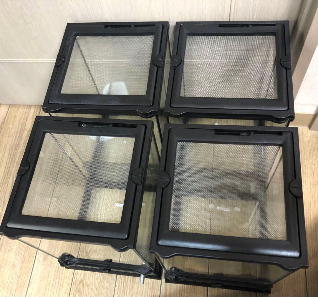 【4個セット】 GEX グラステラリウム ナノ 水槽 テラリウム NANO