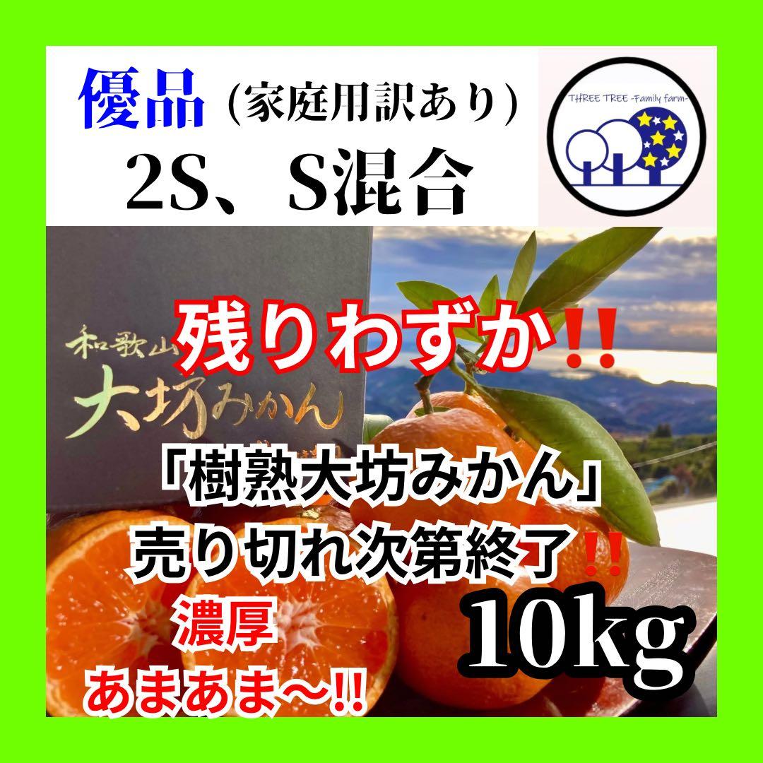 ⑦温州みかん 樹熟大坊みかん 優品(家庭用傷あり)2S、S、10kg