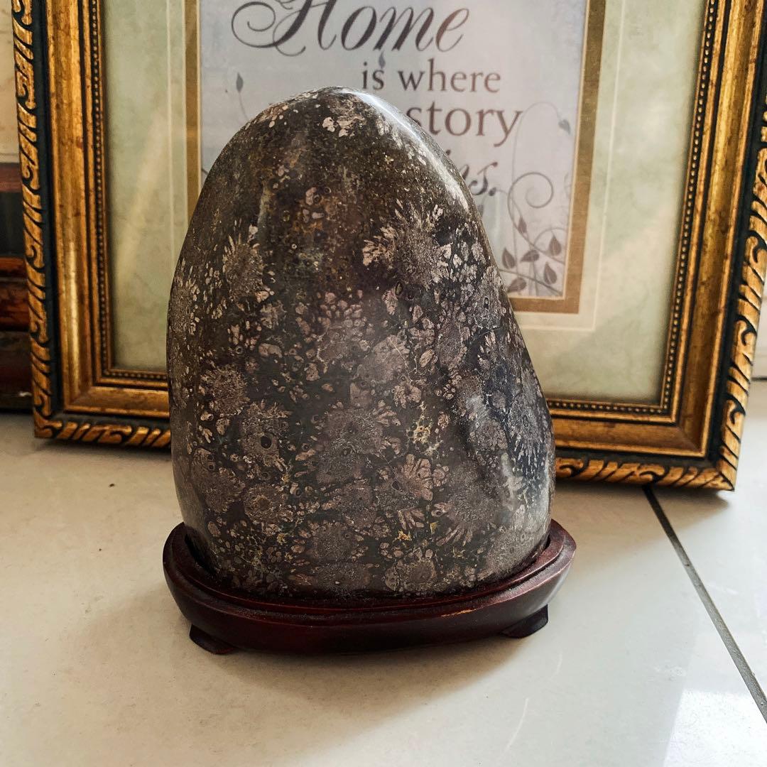 菊花石　花紋石　根尾谷