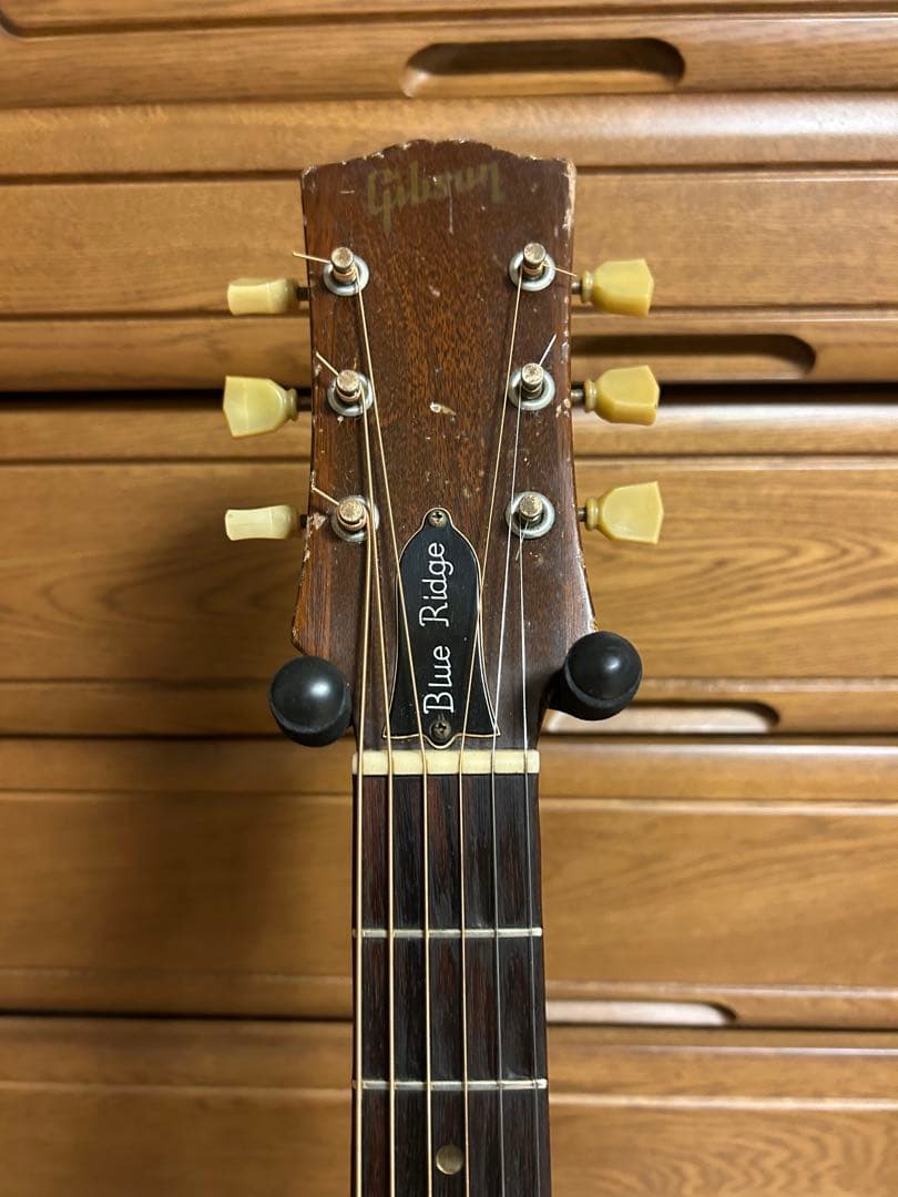 猪*蝶様 Gibson Blue Ridge 1960年後半