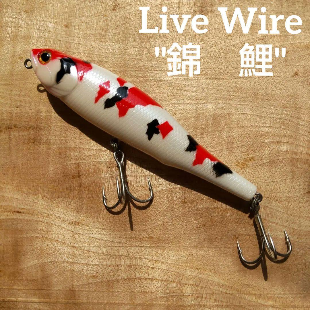 【未使用レア】ライブワイア「錦鯉」限定色