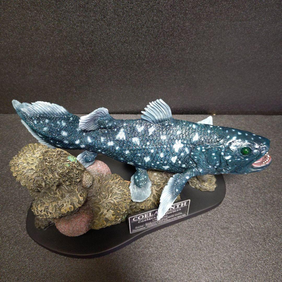 シーラカンス　スタチュー スターエーストイズ