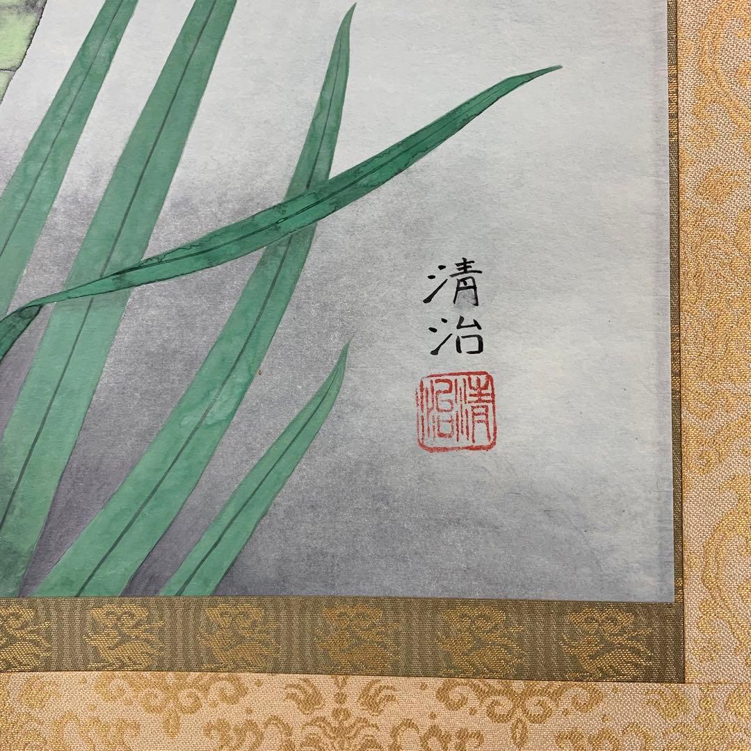 【掛軸】井上清治「菖蒲」共箱 太巻 二重箱仕立て