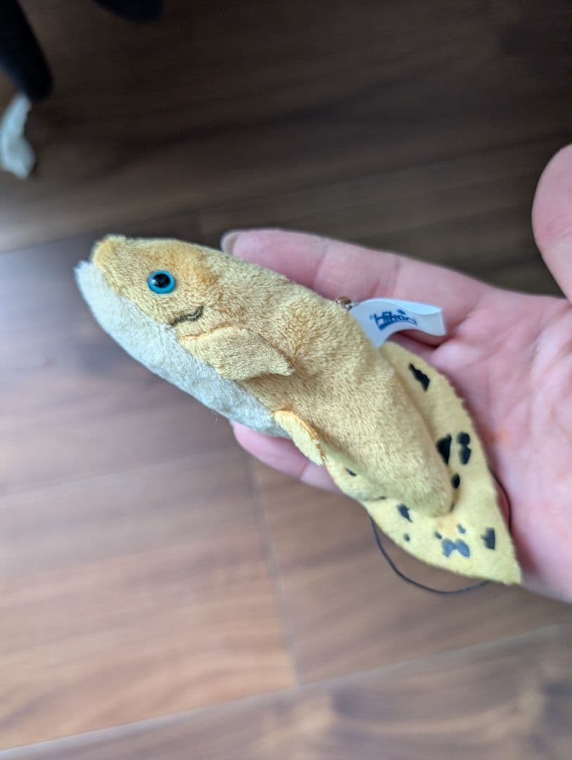 ネオケラトドゥス ぬいぐるみ キーホルダー付