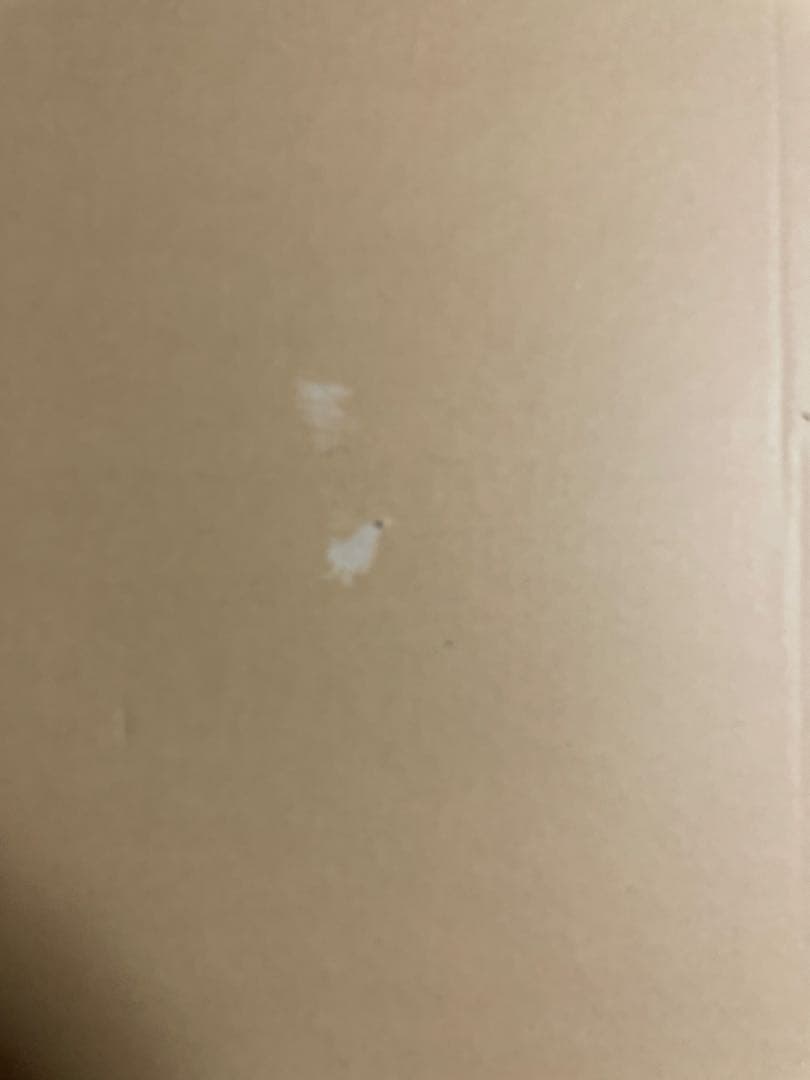 陰の実力者になりたくて！　等身大おっぱいマウスパッド　アルファ