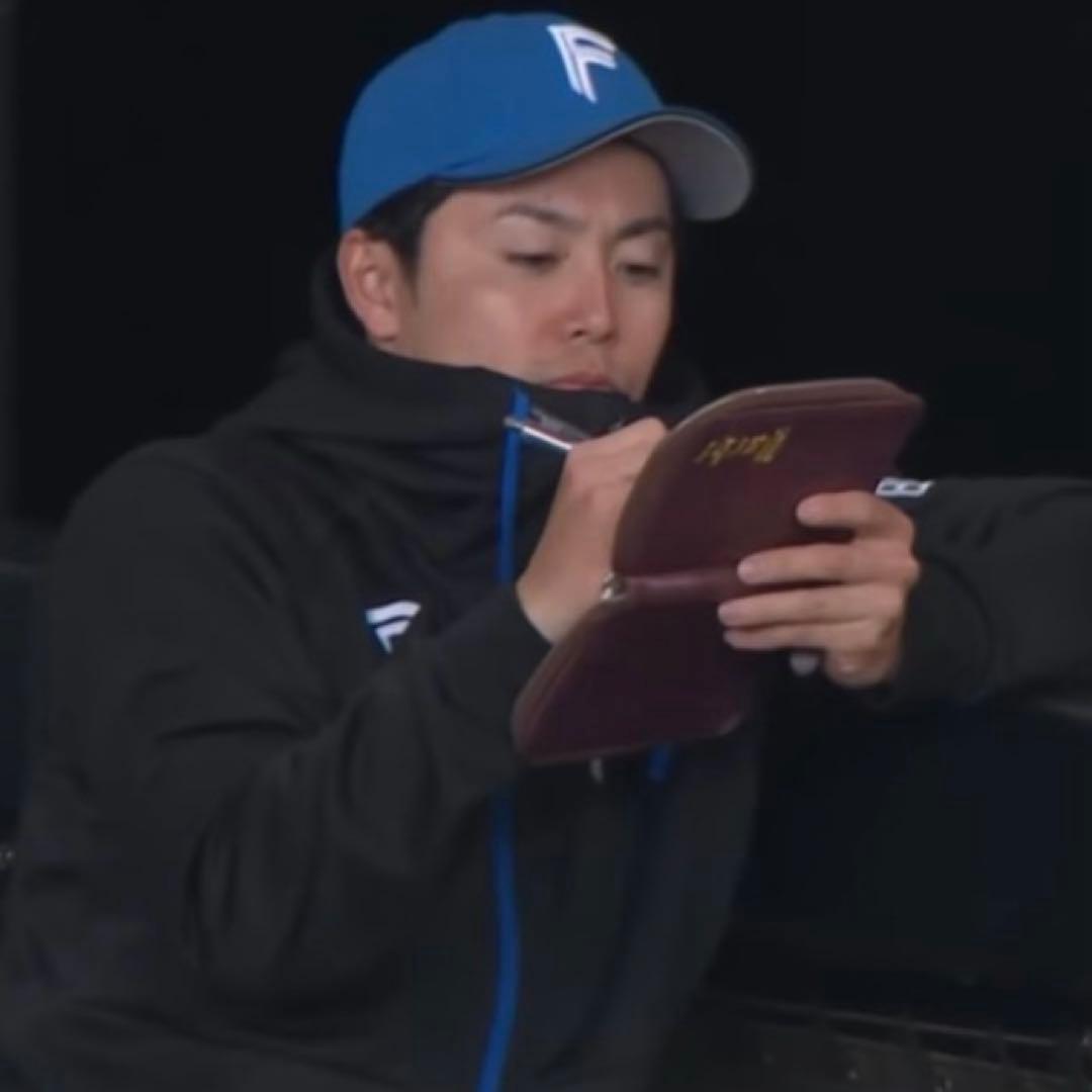 サイズL 北海道 日本ハム ファイターズ 谷内亮太 現役時代 レプリカ ユニ