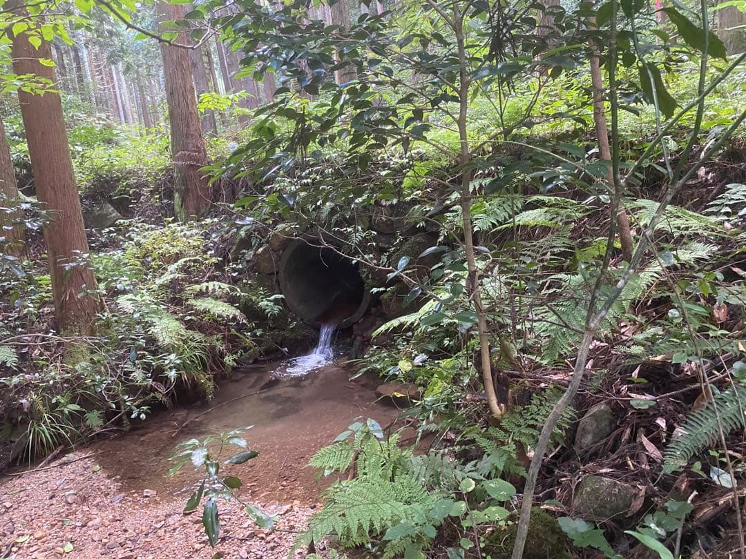 《20キロ玄米を精米して減量》米農家直送米　18kg 鳥取県産コシヒカリ