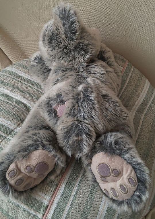 レア☆WDW ディズニー ベア 寝転び ごろ寝 ダッフィー