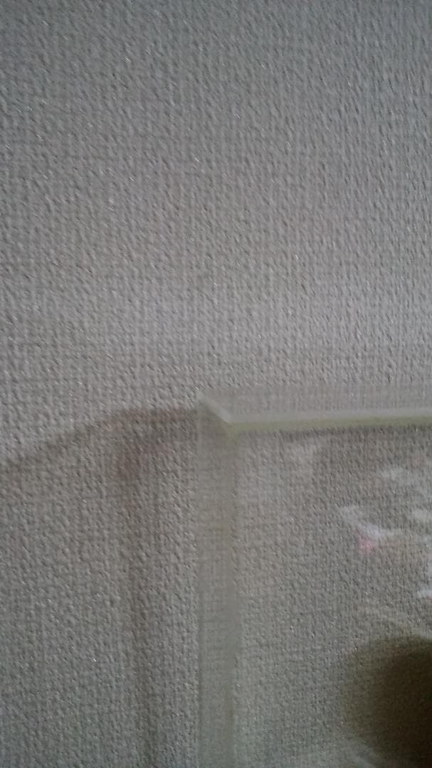 泉茂　F0号　黄