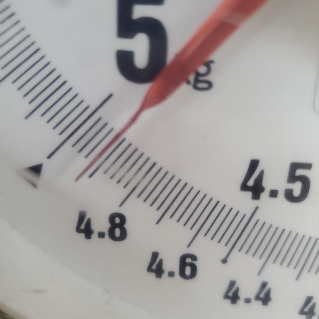 2️⃣ 山梨県産 激甘 シャインマスカット １０房入り 箱込み4.9キロ