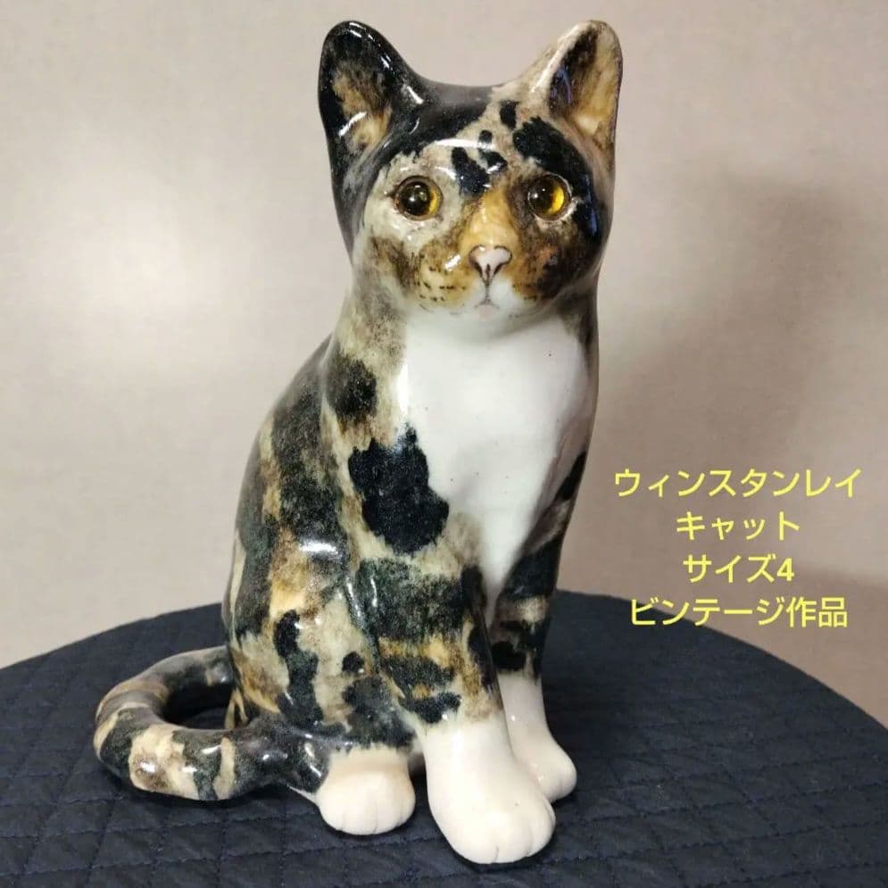タビー＆ホワイト、ウィンスタンレイキャット（ケンジントンキャット）サイズ4