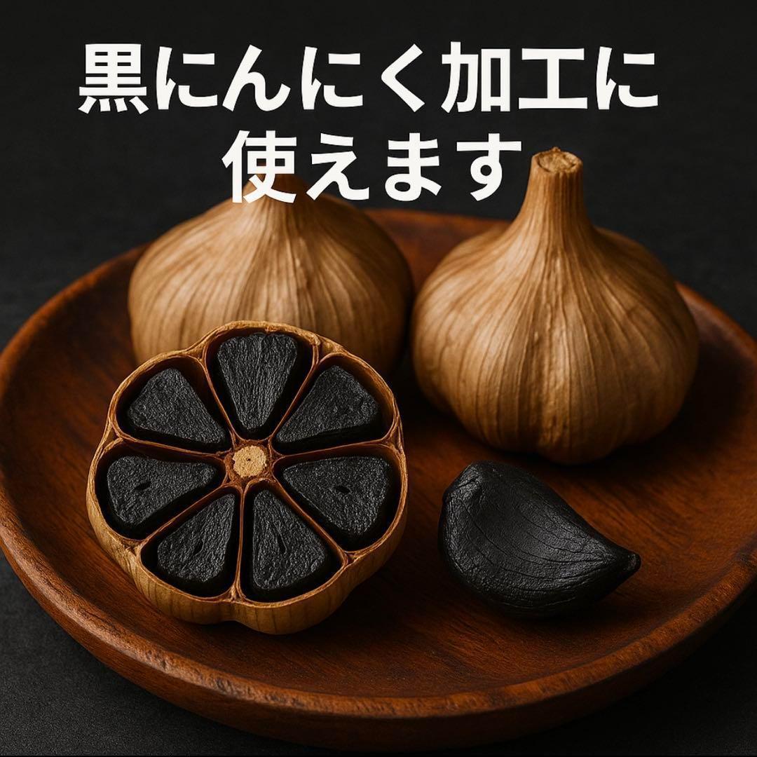 【初売りセール】青森県 福地ホワイト にんにく M 5kg 加工 種にんにく