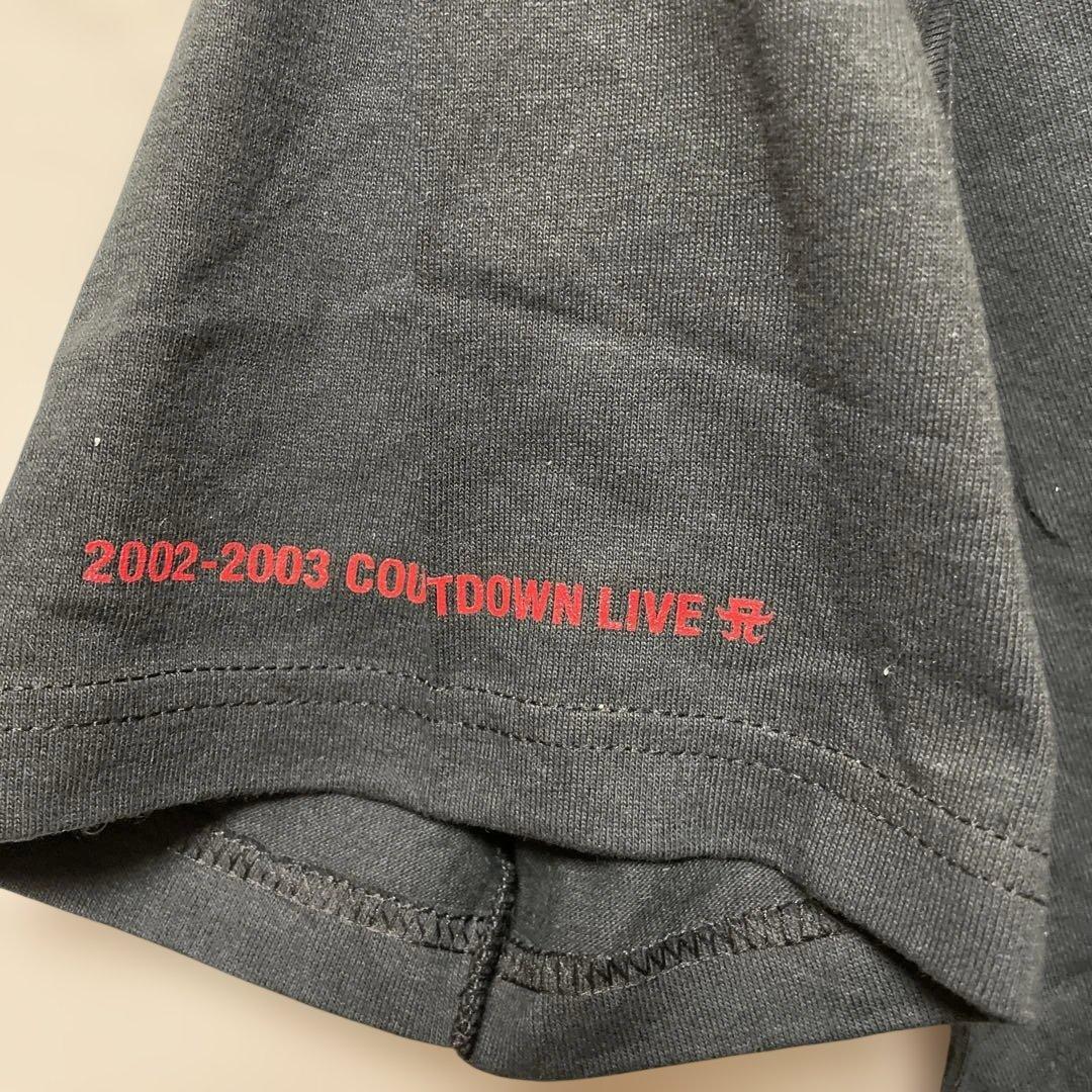 浜崎あゆみ Team Staff Tシャツ Mサイズ 2002-2003 CD