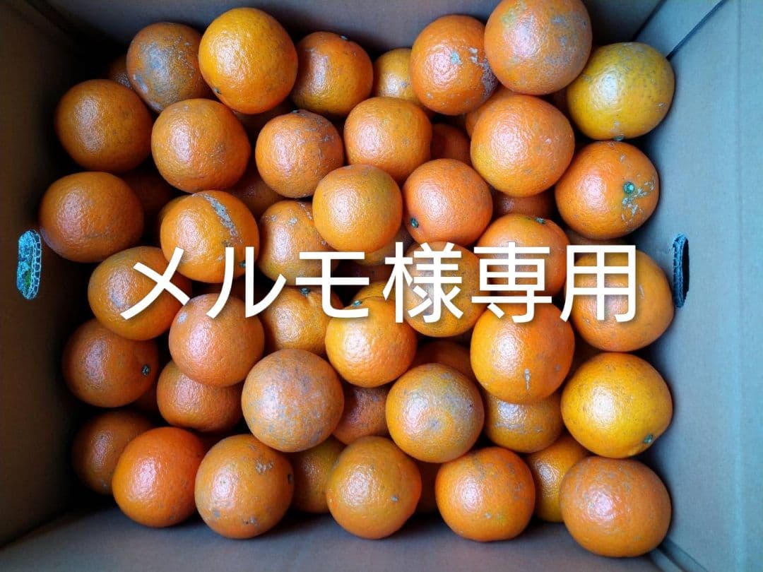 メルモ　屋久島たんかん MS 20キロ