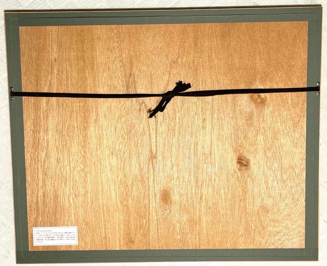 風景画　マスターズ　絵画　アート　額縁付　ゴルフ　自然　緑　グリーン　美術品