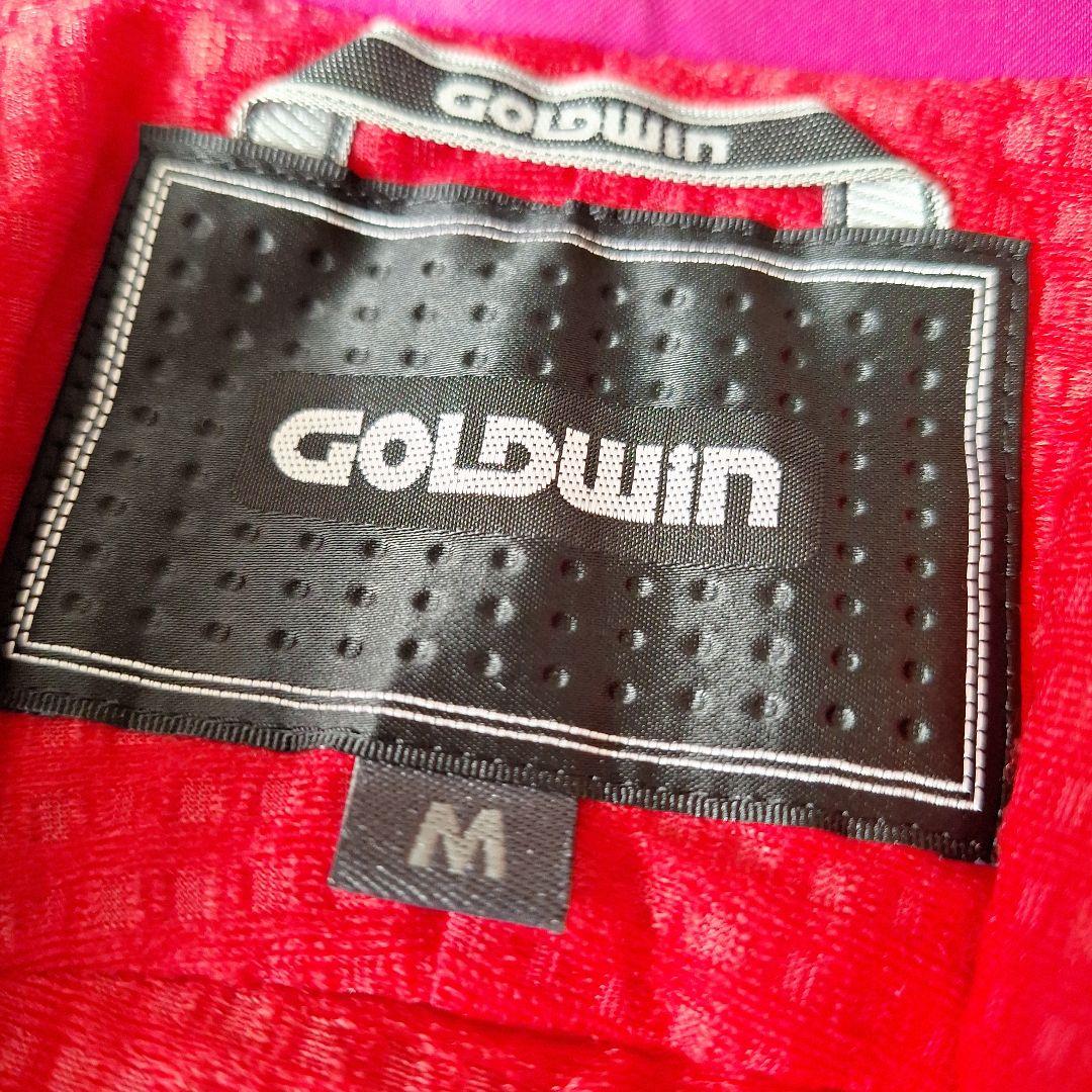 GOODWIN スキーウェア 青色 フード付き スノボ マウンテンパーカー