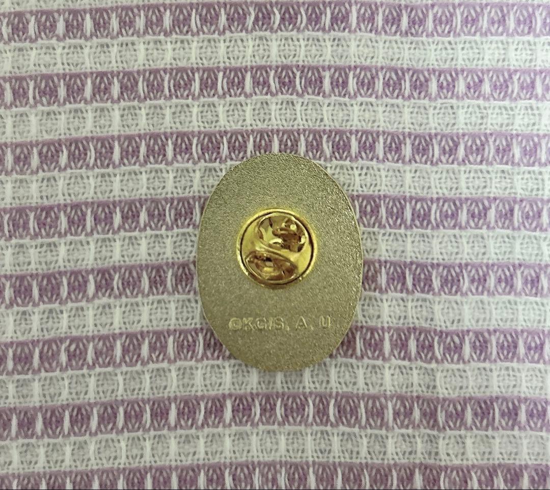 鬼滅の刃 柱展 冨岡義勇 コレクションピンズ　凪