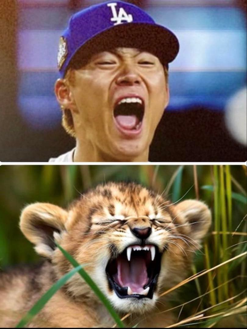 YOSHINOBU YAMAMOTO XL Tシャツ　山本由伸　子ライオン