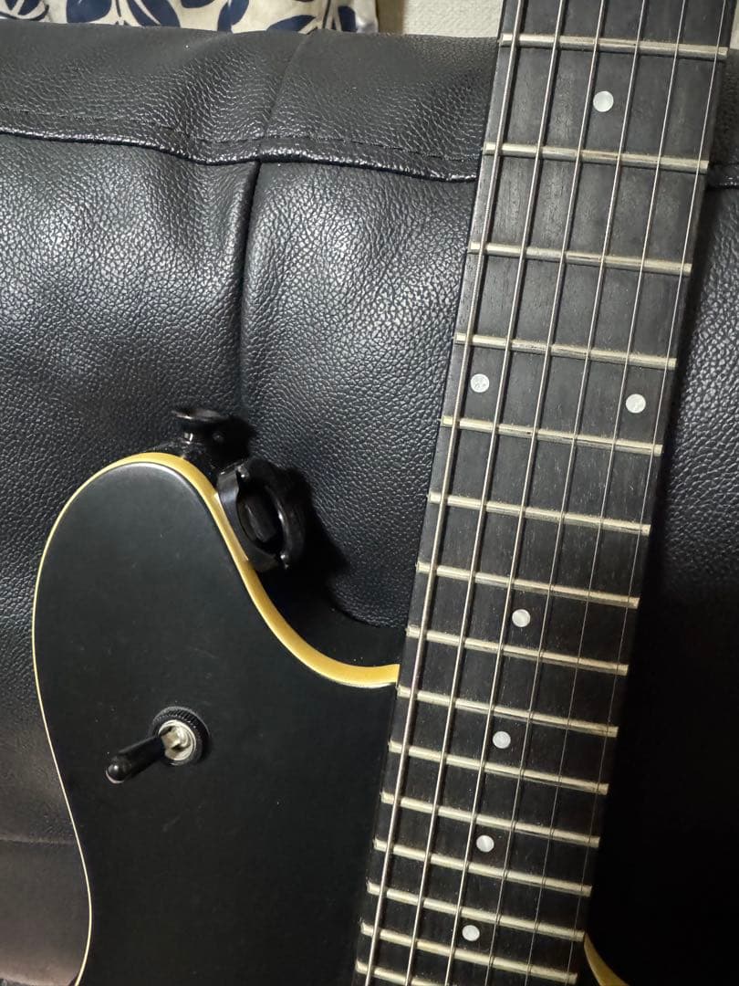 氏のために予約されています egusan33 EVH Wolfgang Sp