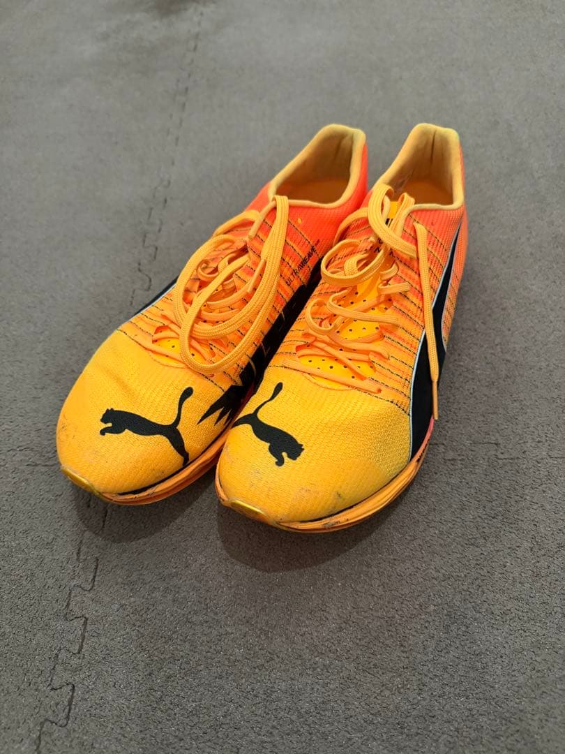 フォルテニトロエリート