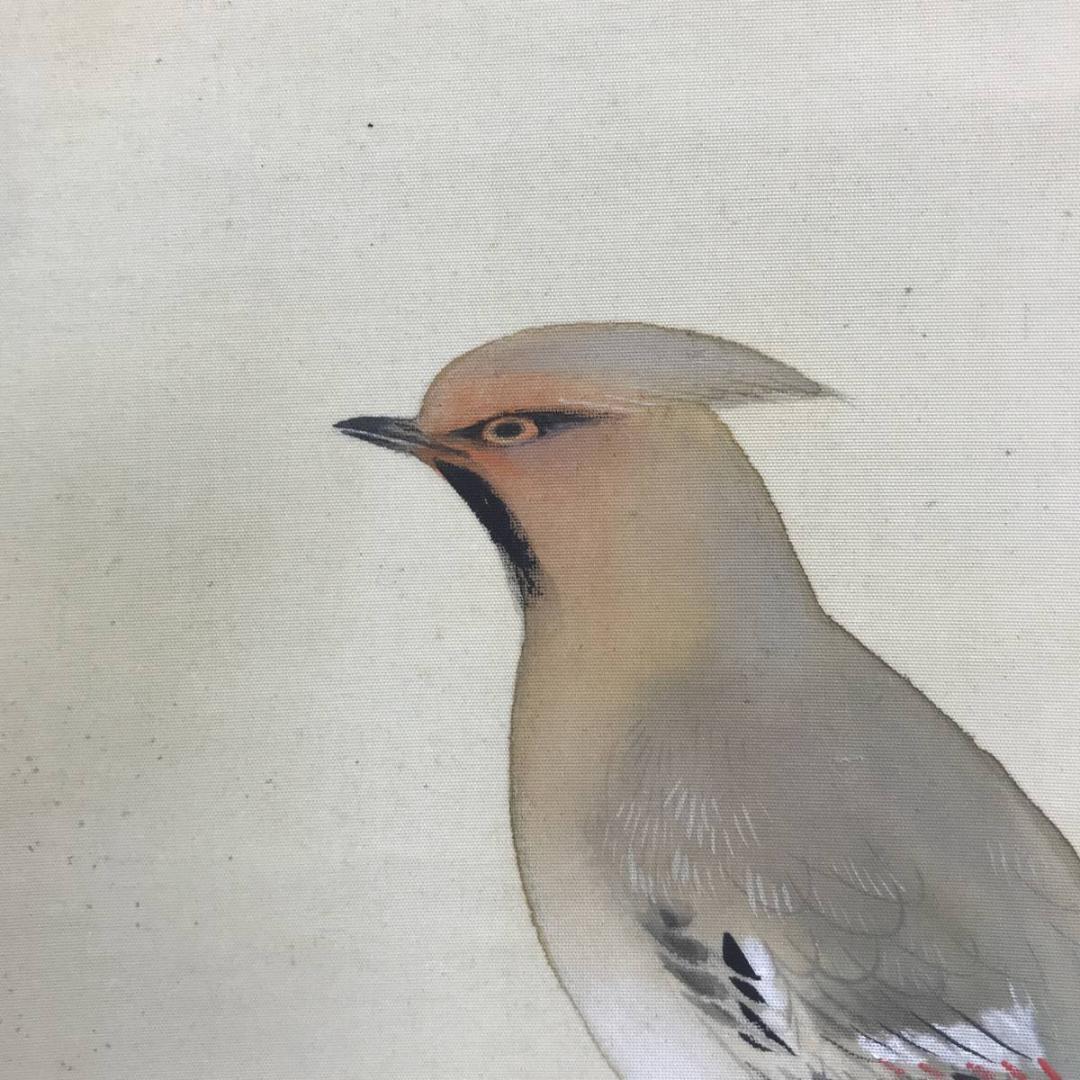 【真作】三宅凰白/白梅小禽図/花鳥図/梅花図/掛軸☆宝船☆AD-557