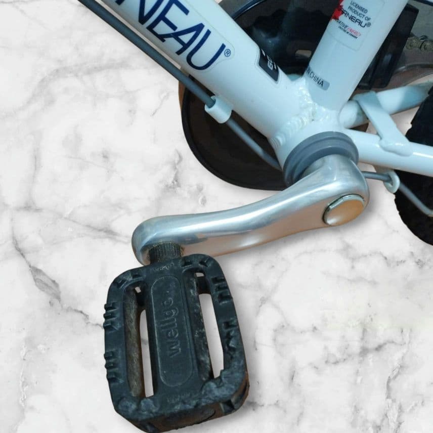 LOUIS GARNEAU LGS-J12 子供用自転車 白12インチ ルイガノ