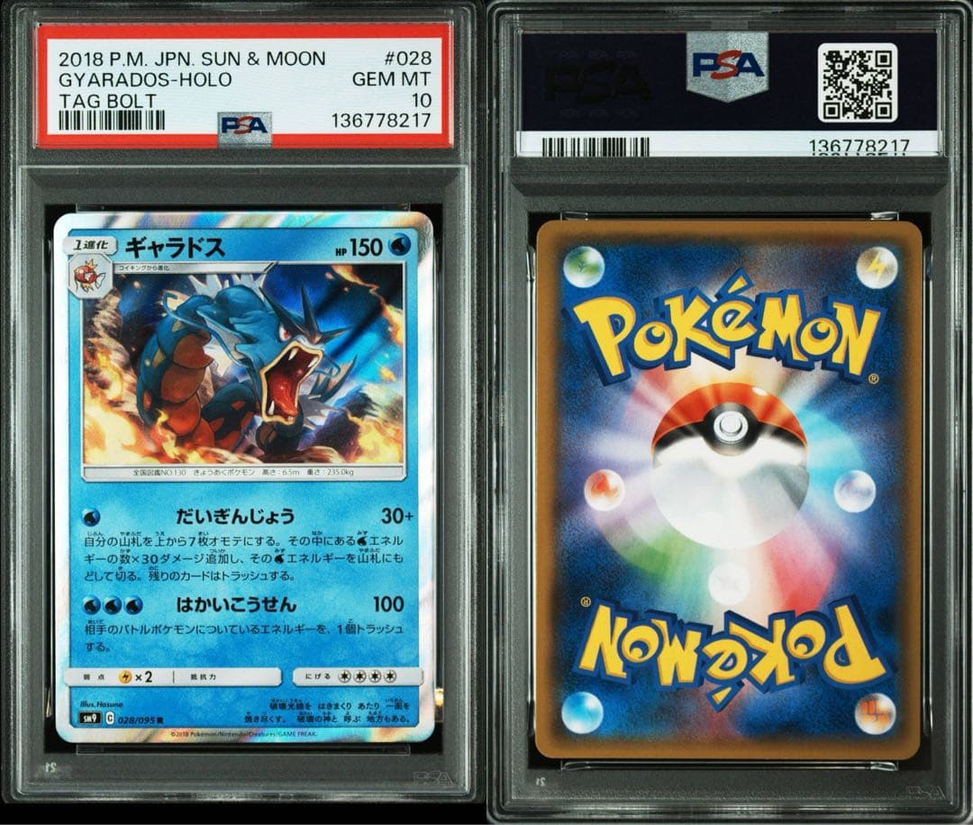 超希少　PSA10 ギャラドスR 028/095 タッグボルト