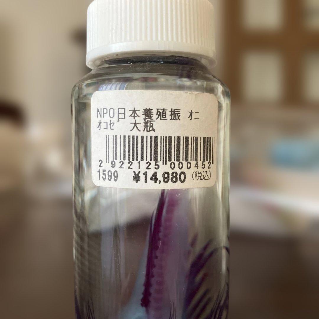 透明標本 魚 オニオコゼ