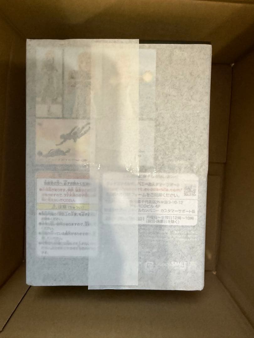 figma ゼルダの伝説 ティアーズ オブ ザ キングダム　ゼルダ　フィギュア