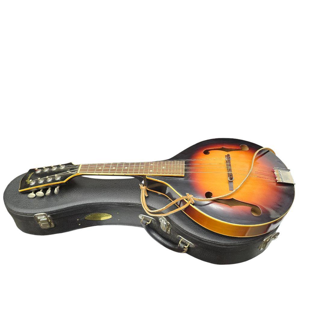 値下げjumbo ジャンボ フラットマンドリン ハードケース付